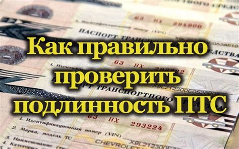 Проверка подлинности ПТС: пошаговая инструкция