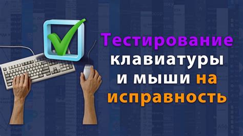 Проверка работоспособности мыши и клавиатуры