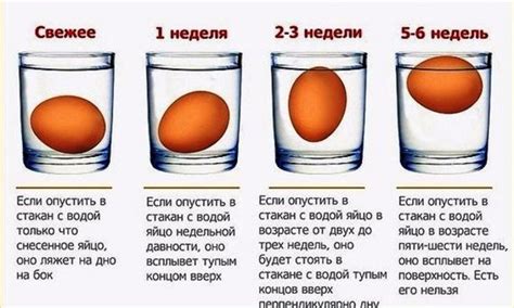 Проверка свежести яиц в воде