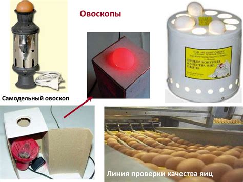 Проверка свежести яиц на столе