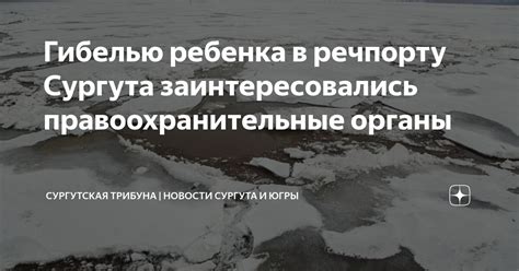 Проверка через правоохранительные органы