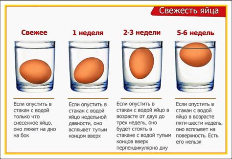 Проверка яиц по сроку годности