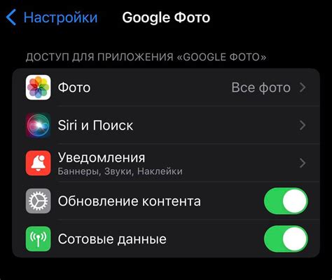 Проверьте, что файлы cookie включены