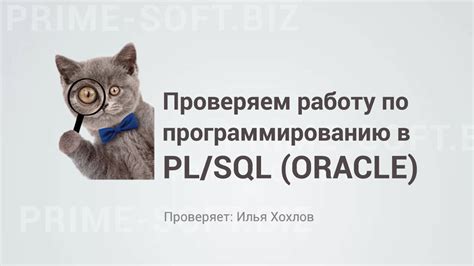 Проверяем работу консоли