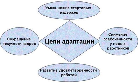 Программа адаптации