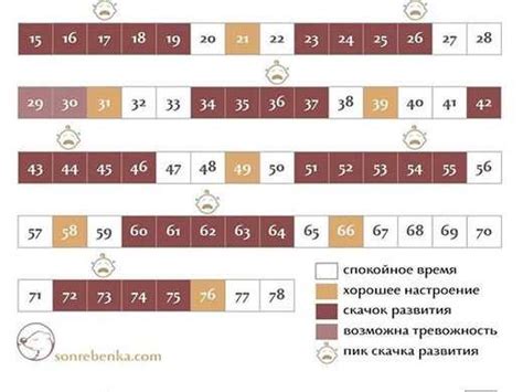 Программа для расчета древа по дате рождения: Как использовать