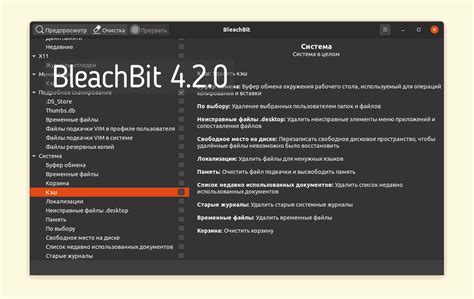 Программа 2: BleachBit