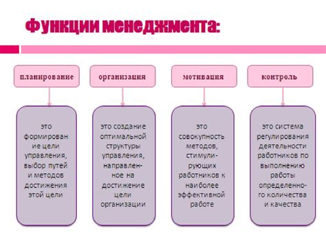 Программы в вузах: академический и теоретический подход к образованию