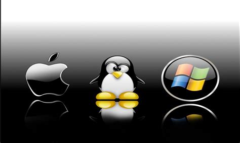 Программы для определения имени флешки в операционных системах MacOS и Linux