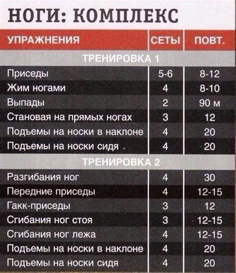 Программы тренировок: особенности и прогрессия