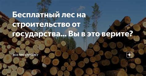 Продление жизни древесины: актуальные методы и рекомендации экспертов