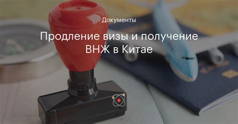 Продление и получение второй визы на Кипр: требования и процедура