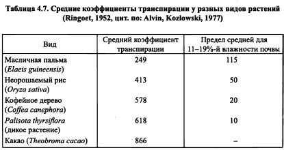 Продуктивность и качество урожая