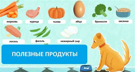 Продукты, которые могут заинтересовать вашего капризного питомца