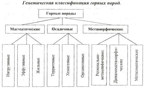 Происхождение и разновидности