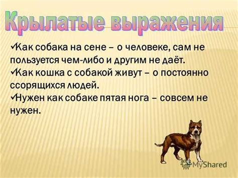 Происхождение популярного выражения