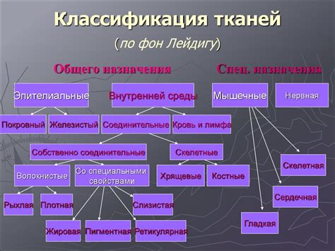 Происхождение синтетических тканей