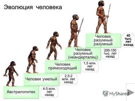 Происхождение человека и его предшественников