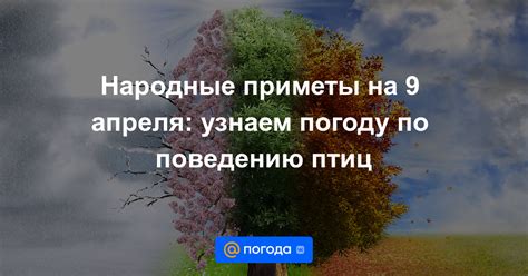 Проконсультируйтесь с специалистом по поведению птиц