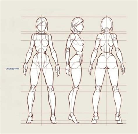 Пропорции и особенности рисунка девушки сзади