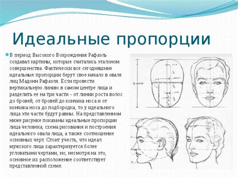 Пропорции лица и общих черт