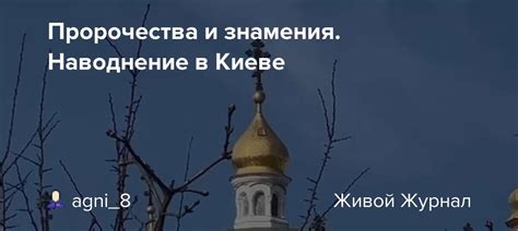 Пророчества и знамения в вашей жизни