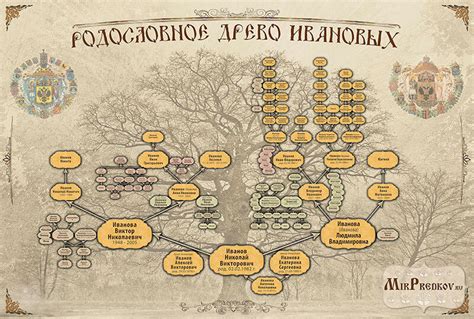 Проследить родословную через отцовскую линию