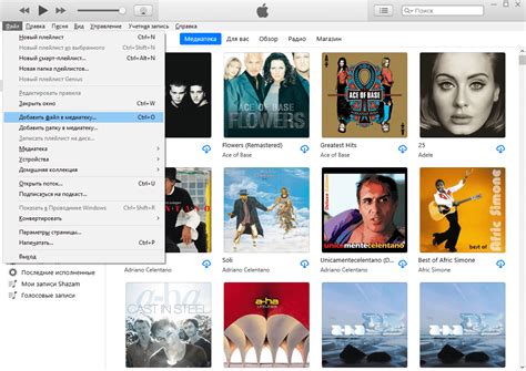 Просмотрите свою музыкальную библиотеку в iTunes