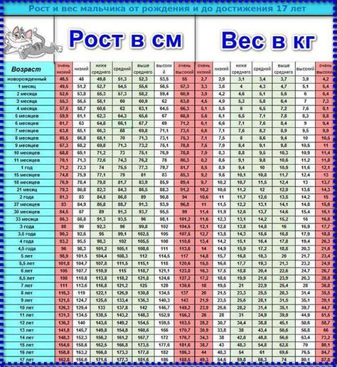 Простая инструкция для определения вашего роста