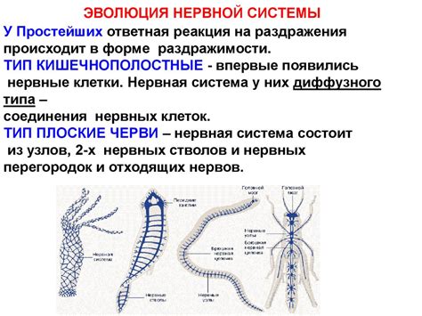 Простой тест на определение типа нервной системы ребенка