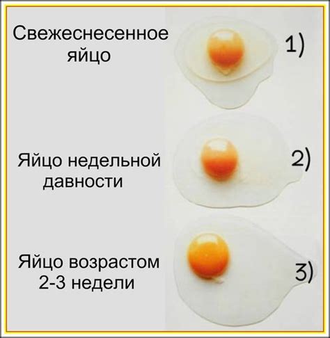 Простые и эффективные способы избавиться от запаха