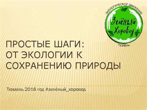 Простые шаги для активной поддержки экологии без дополнительных затрат