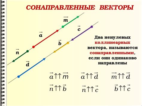 Противоположные направления векторов: определение и примеры