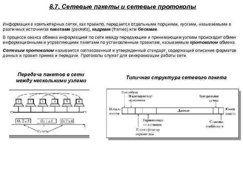 Протоколы: основа коммуникации в компьютерных сетях