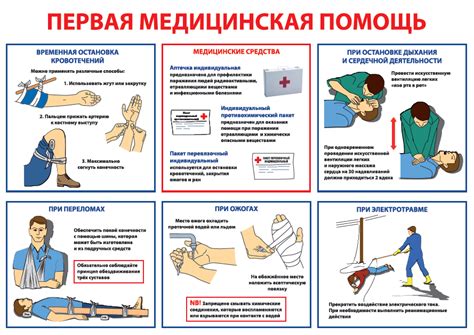 Профессиональная медицинская помощь и дальнейшие меры: