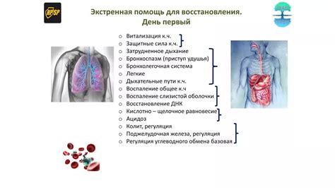 Профессиональная помощь при восстановлении эустомы