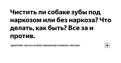 Профессиональная чистка шезлонга: за и против