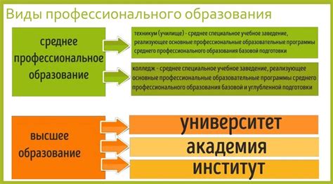 Профессиональное образование и специализация