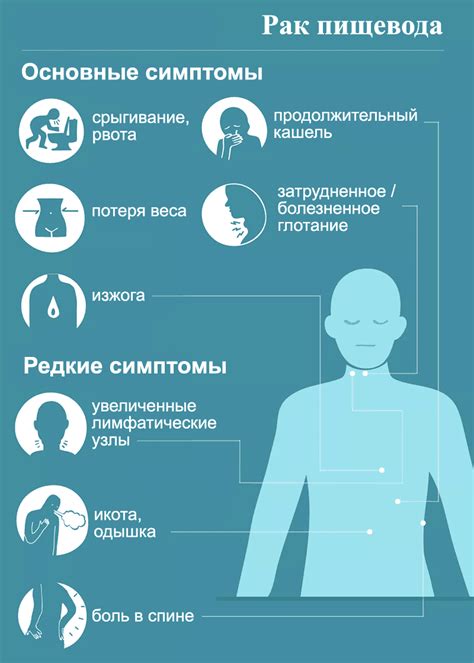 Профилактика глистов и основные меры предосторожности