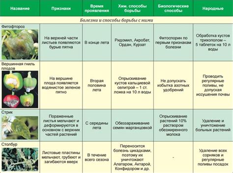 Профилактика заболеваний и вредителей при поверхностном улучшении