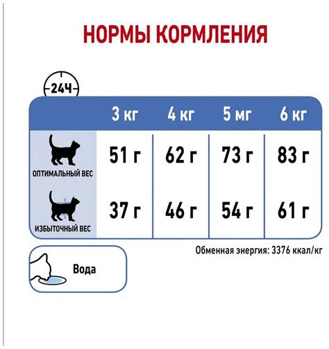 Профилактика избыточного веса у кошки