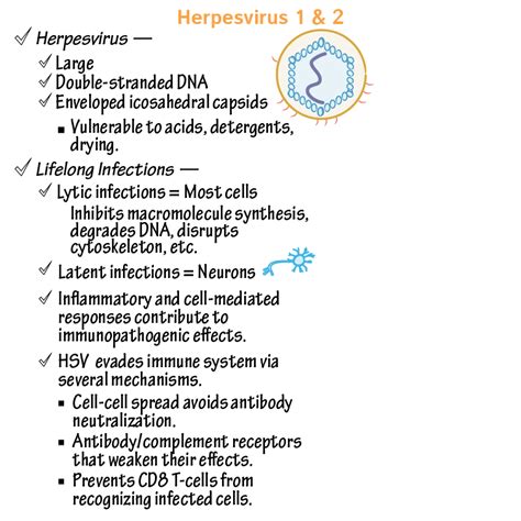 Профилактика и защита от herpes simplex virus 1 и 2