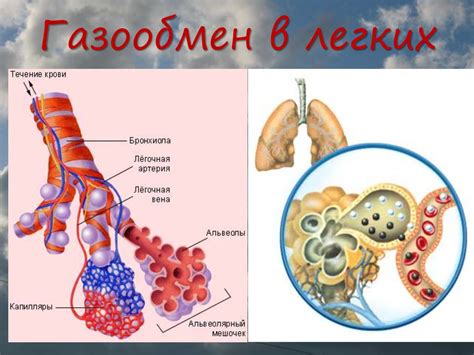 Профилактика GGO в легких и забота о здоровье