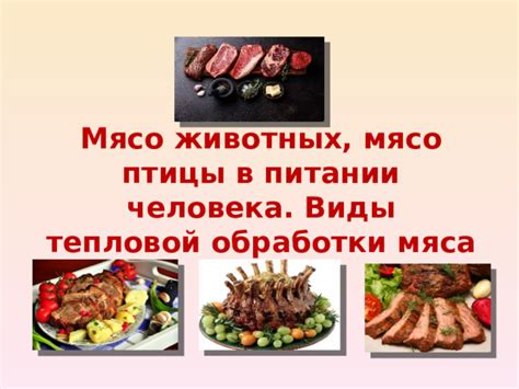 Процедуры правильной обработки и хранения мяса птицы