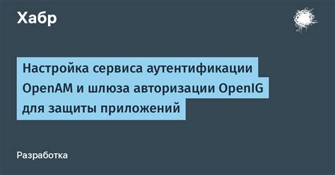 Процесс аутентификации и авторизации в Биб Зур