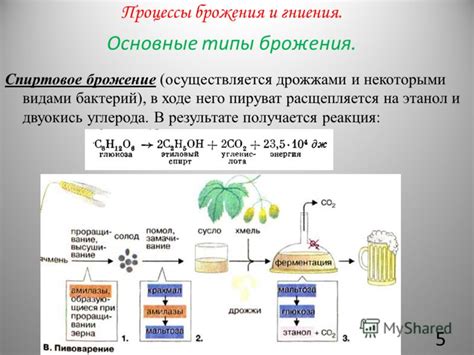 Процесс брожения и сухостой