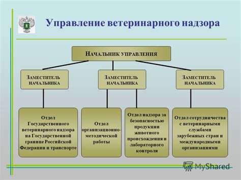 Процесс контроля и надзора