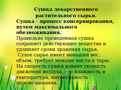 Процесс мачтования и сушки сырья