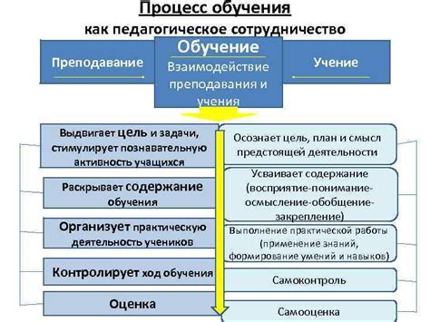 Процесс обучения и социализации улиток