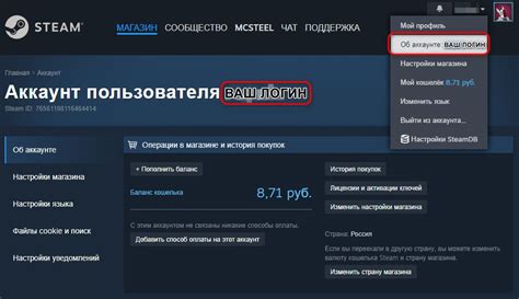 Процесс определения логина на платформе Steam